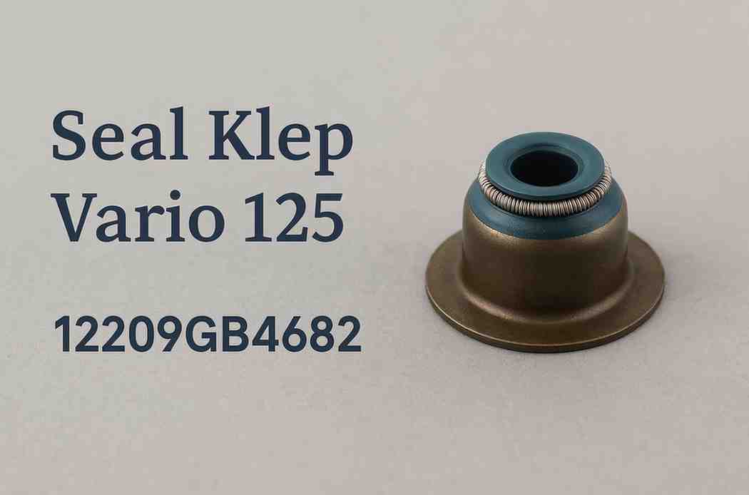 Seal Klep Vario 125 12209GB4682